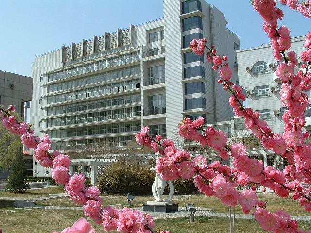 国产小骚逼